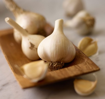 https://weborders.pizzanova.com/PNStatic/web/images/ingredients/roasted-garlic.jpg